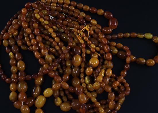 Twelve assorted single strand graduated oval amber bead necklaces,